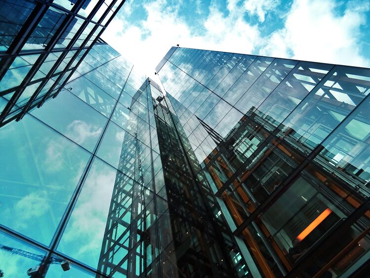 management consulting làm gì