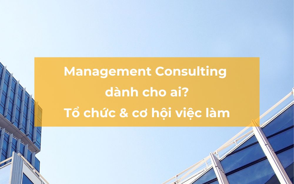 management consulting dành cho ai - cách tổ chức của công ty consulting và các cơ hội việc làm